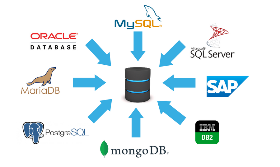 back-end-developer-database
