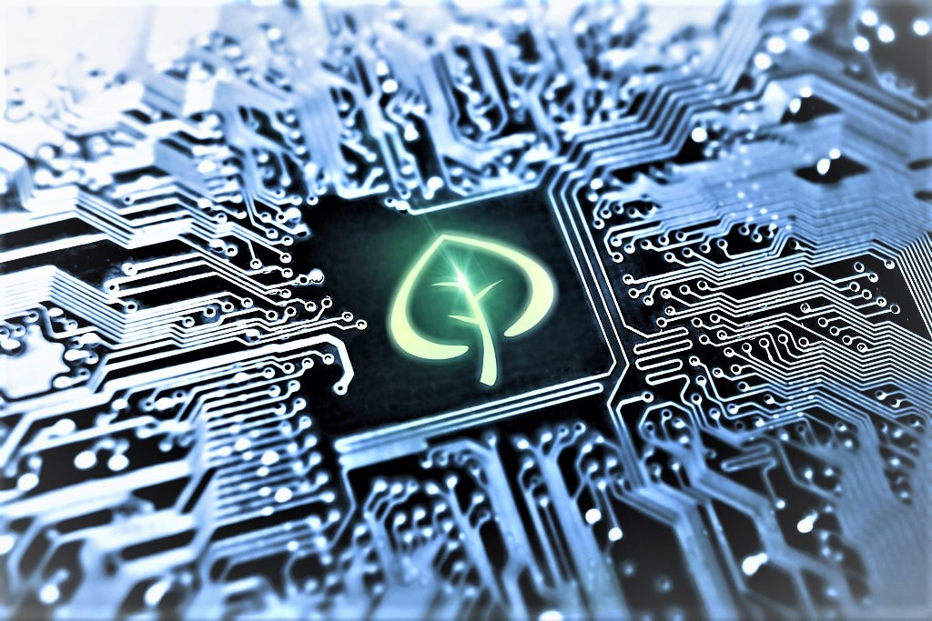 Green IT, quando l’informatica è amica dell’ambiente